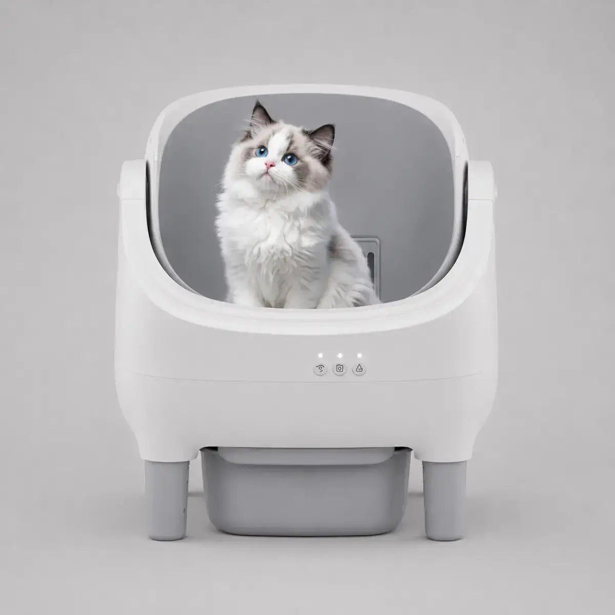 Litière Automatique Ouverte pour Chat avec un chat dedans