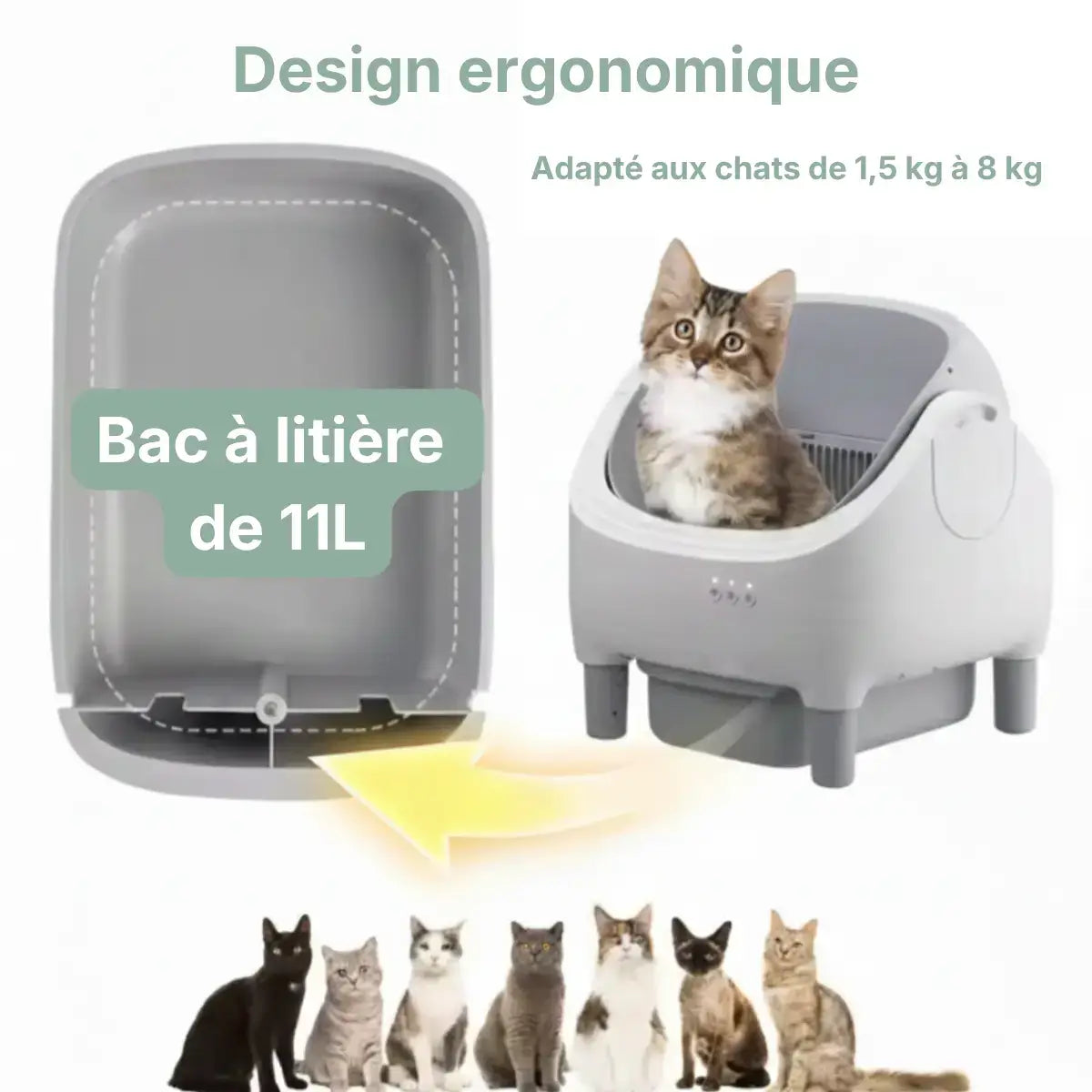 Litière Automatique Ouverte pour Chat taille et poids des chats
