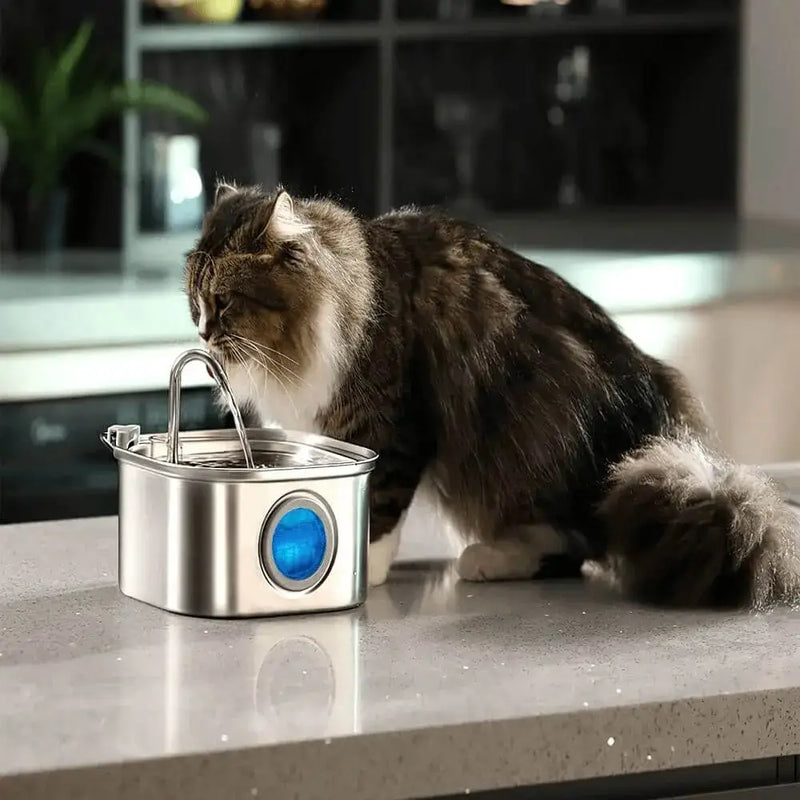 Fontaine à Eau pour Chat avec un chat qui boit dans une cuisine