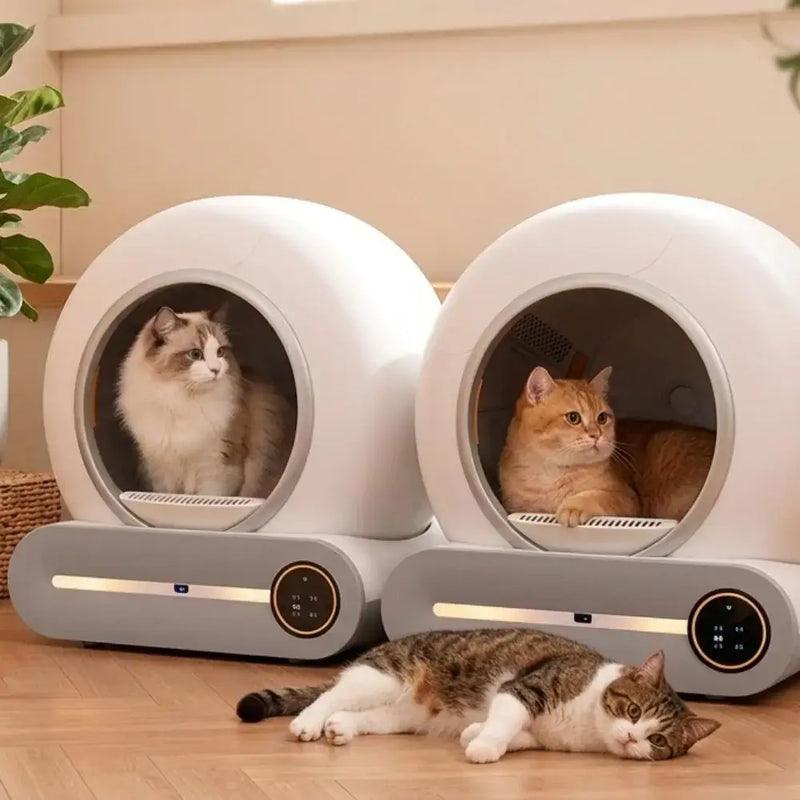 deux litières automatiques autonettoyantes avec des chats à l'intérieur dans un salon appartement