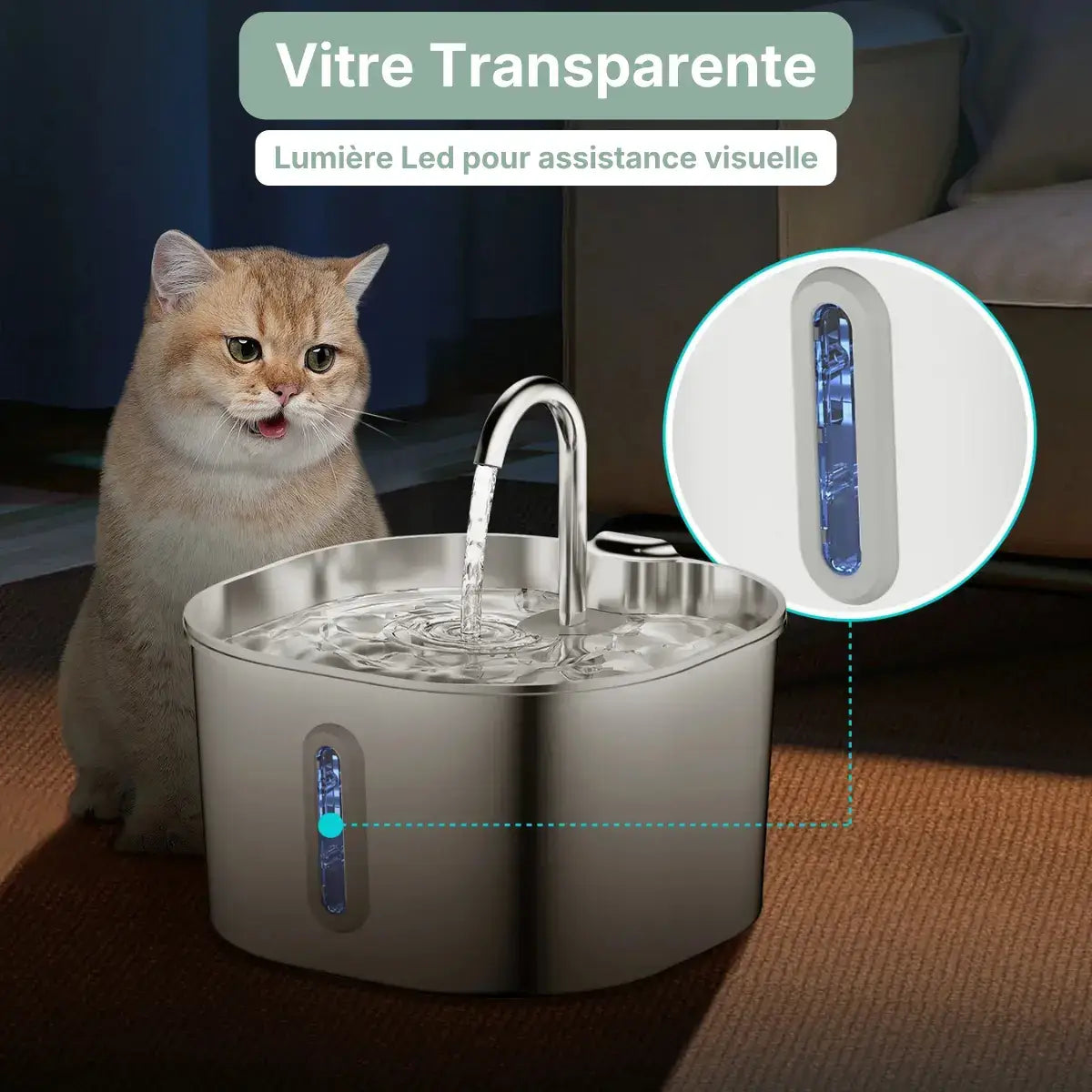 Fontaine à Eau Chat Automatique - Inox 2,2 L avec un chat photo vitre transparente