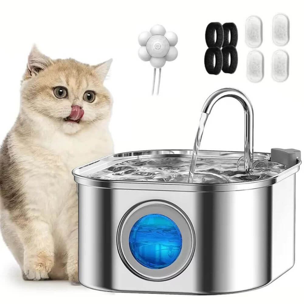 Fontaine à Eau pour Chat en Inox 3,2 L - Filaire avec chat sur fond blanc
