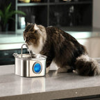 Fontaine à Eau pour Chat en Inox 3,2 L - Filaire avec un chat en train de boir