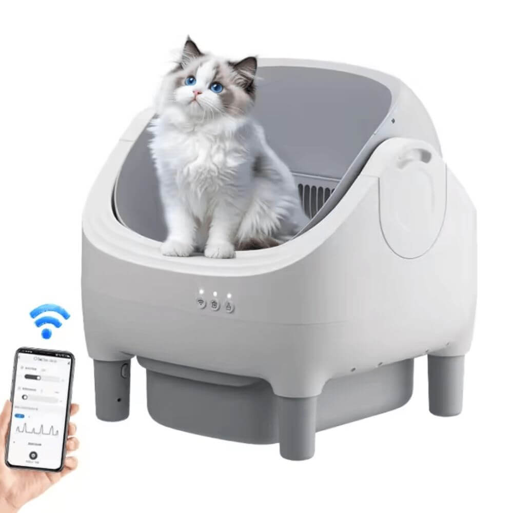 Litière Automatique Ouverte pour Chat (Wi-Fi) avec un chat au yeux bleu à l'interieur