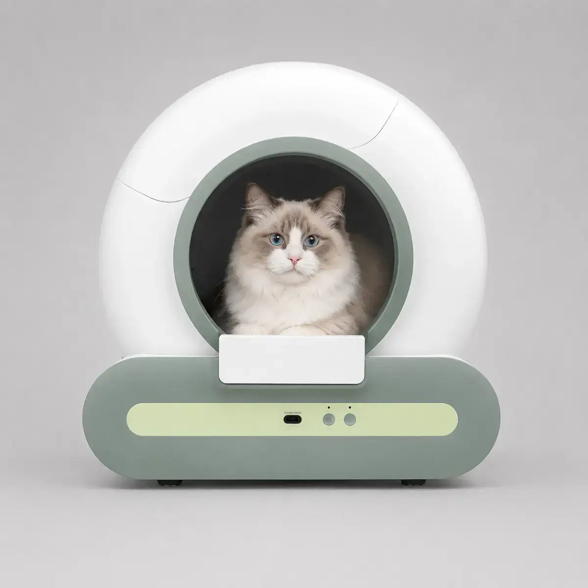 Litière Automatique pour Chat Vert Sauge avec un chat dedans