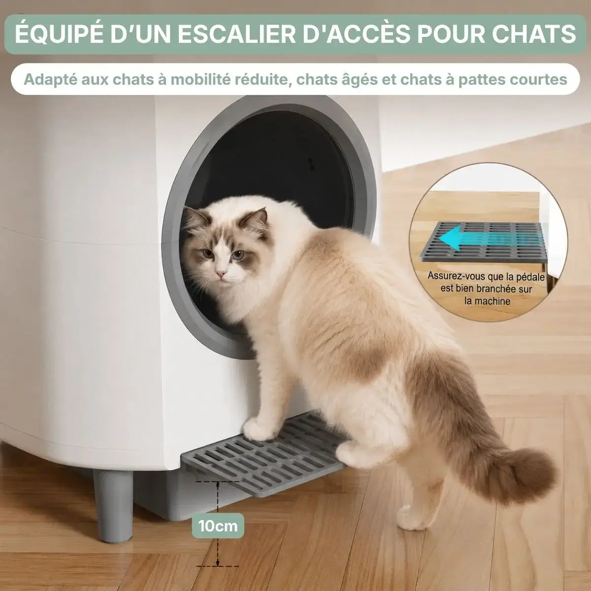 Litière automatique CocoonPro marche accès