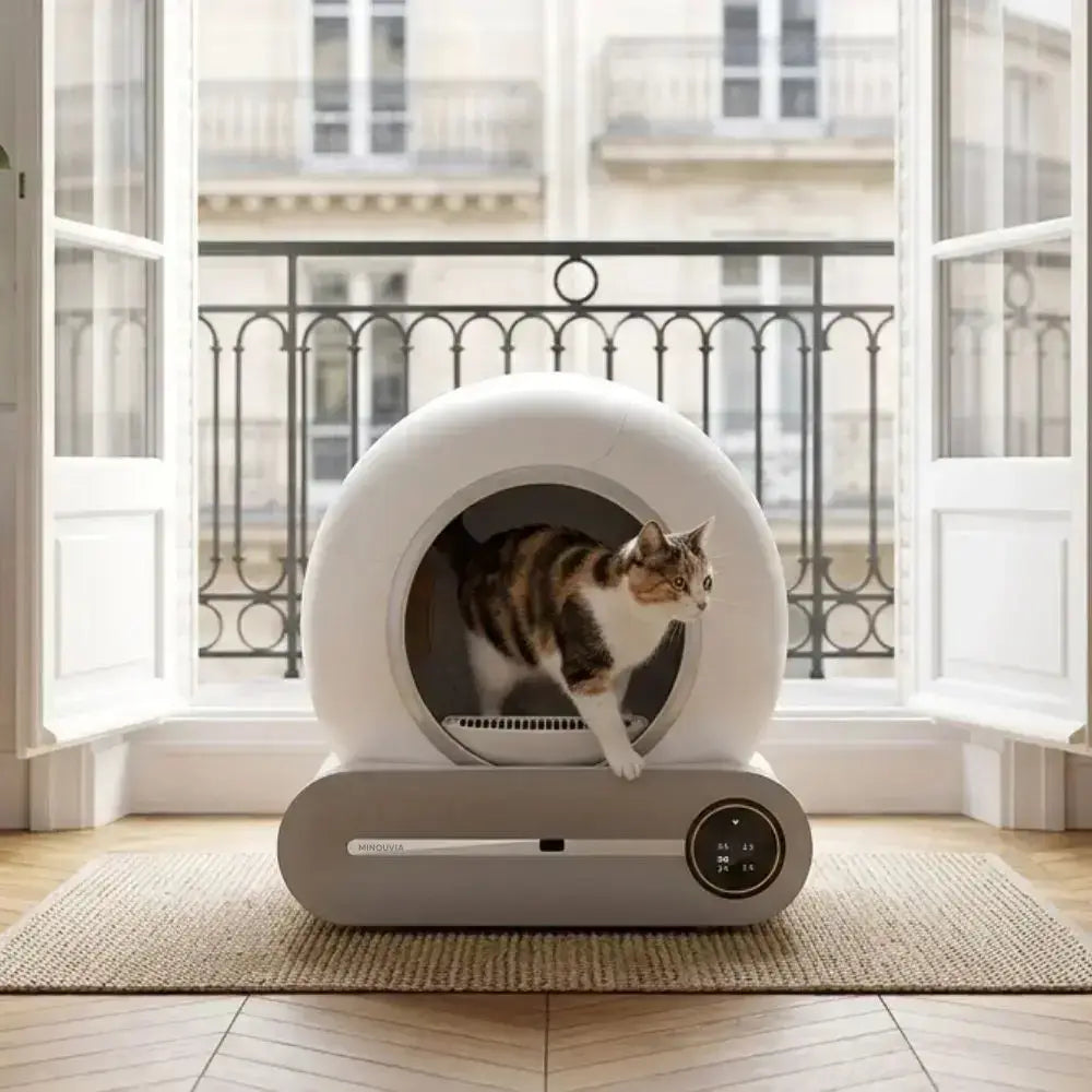 chat dans une litière automatique dans un appartement en france